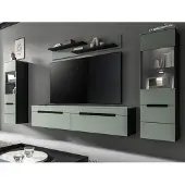 Inn.Furn Wohnwand "Cooper" Salbei Grün und Basalt Grau 4-teilig hängend / stehend 272 cm, Soft-Close