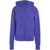 Adidas D4T FZ HOODIE PURPUR