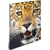 Herma 3 Zeichenmappen DIN A3 Leoparden