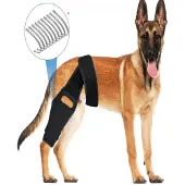 INF Hundeknieorthese für Kreuzbandstütze und Verletzungserholung