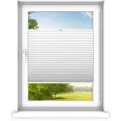 Time4blinds - Plissee Rollo, Faltrollo, Sichtschutz, Weiߠ, 30x150cm