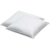 Spessarttraum 2er-Set Federnkissen Kleinkissen "Fritzi" in weiß | Gr.: 45x55 cm