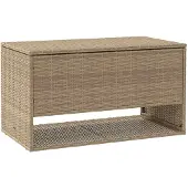 vidaXL Outdoor-Kissenbox Beige 100x55x55,5 cm Poly Rattan