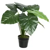 MARELIDA Künstliche Taro Pflanze im Topf Kunstpflanze H: 52cm in grün | Gr.: onesize
