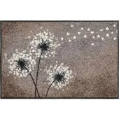 Erwin Müller Fußmatte Pusteblume in taupe | Gr.: 40 x 60 cm