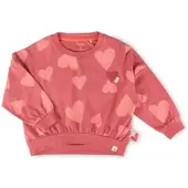 Sigikid Langarmshirt Pink Birds in Rosa | Gr.: 110/116