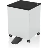 Epson 7112285, Flur, Schwarz, Weiß, WorkForce Pro WF-C5210DW WorkForce Pro WF-C5290DW WorkForce Pro WF-C529RDTW WorkForce Pro..., 1 Stück(e)