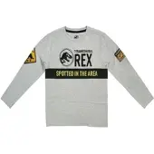 Jurassic World Langarmshirt Longsleeve in Grau | Gr.: 164