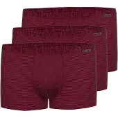 Ammann 3er Pack Cotton & More Retro Short / Pant