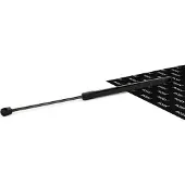 RIDEX 219G0002 Gasfeder Heckklappendämpfer passend für PEUGEOT 307 SW (3H) 491mm