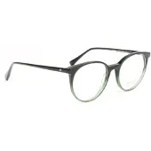 Ana Hickmann Brillenfassung HI6313 C01 50