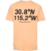 Petrol Industries Bedrucktes Jersey-T-Shirt Roca in Orange | Gr.: 152
