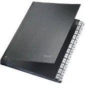 Leitz Pultordner