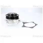 TRISCAN Wasserpumpe 8600 24063