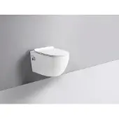 Glasdeals spülrandloses TAHARET Dusch WC inkl. Armatur und Soft-Close Sitz