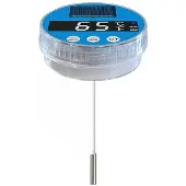 Kepptory Schwimmendes Digitales Poolthermometer, Solar-Schwimmbadthermometer, Bade-, für - und Teichtemperaturmesser