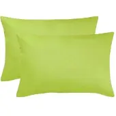 BETTWARENSHOP Single Jersey Kissenbezug Ulm 2er Pack 40x60 cm | apfel - grün