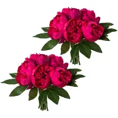 Creativ Green Kunstpflanze "Bouquet aus Peonien" 2er Set