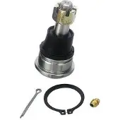DENCKERMANN Traggelenk Vorne Unten für NISSAN SUNNY II Coupe (B12) D110022