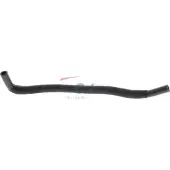 ACKOJAP ACKOJA Kühlerschlauch Wasserschlauch für RENAULT CLIO II (BB0/1/2, CB0/1/2) A38-0642