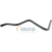 VAICO Kühlerschlauch Wasserschlauch für FORD FOCUS (DAW, DBW) V25-1787