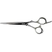 E-Kwip ASE Rockstar Knipschaar 5,5inch