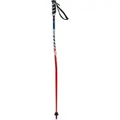 Swix Wc Pro Sg Junior Stöcke Silber 115 cm Silber 115 cm