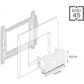 DeLOCK - Easy 45 - Einrastmodul - 1 Modul - weiß, RAL 9003