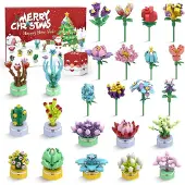 Sonstiges Adventskalender 2024 Mädchen 24er Pack Sukkulenten Blumenstrauß-Bausteine