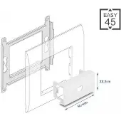 DeLOCK - Easy 45 - Einrastmodul - 1 Modul - weiß, RAL 9003