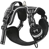 Famanu Hundegeschirr - Verstellbar, Reflektierend, Mit Handgriff - Schwarz - S