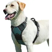 Famanu Hundegeschirr No Pull - Verstellbar, Dunkelgrün, Größe L