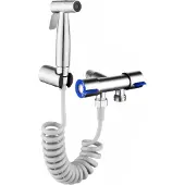 Famanu tragbare Bidet-Dusche mit 2 m Schlauch und Wandhalterung - Edelstahl