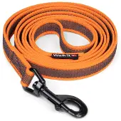 WalkFit - Anti-slip Tracking Leash with Handle - Orange - 20mmx5m