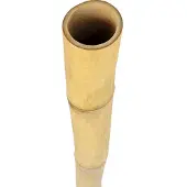 Neuvedené Bambusrohr Ø 4-5 cm Länge 200 cm