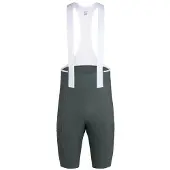 Rapha Brevet Element Cargo Trägerhose Grün S Mann Grün S