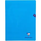 Clairefontaine Mimesys
