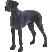 Safari Deutsche Dogge
