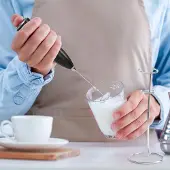 Famanu Milchaufschäumer Handheld mit Ständer - silber/schwarz