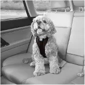 Kurgo Tru-Fit Smart Hundegeschirr