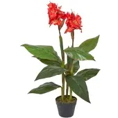 Homescapes KUNSTBLUME Blumenrohr rot, 90 cm