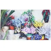 Homescapes FUSSMATTE Blumentreppe, Gummi 45/76 cm