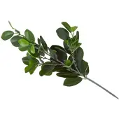Homescapes DEKOZWEIG Gummibaum, 58 cm