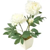 Homescapes KUNSTBLUME Pfingstrose creme im Deko-Topf, 46 cm