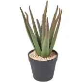 Homescapes KUNSTPFLANZE Aloe vera im Deko-Topf, 30 cm