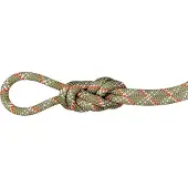 Mammut - 9.5 Gym Classic Rope - Einfachseil Gr 50 m beige