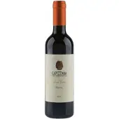Tenuta di Capezzana Vin Santo 2017 0,375l