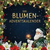 Sonstige Verlage Adventskalenderbuch mit 24 Türchen: Weihnachtsgeschichten aus Pflanzenperspektive, Pflegetipps & DIY