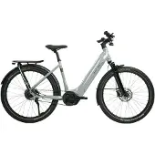 Urban jungle Damen-Elektrofahrrad Ginza 1.0 | Größe L