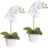 Creativ Green Kunstpflanze "Orchidee Phalaenopsis" im Keramiktopf